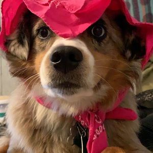 Meet your Posher, Mateo